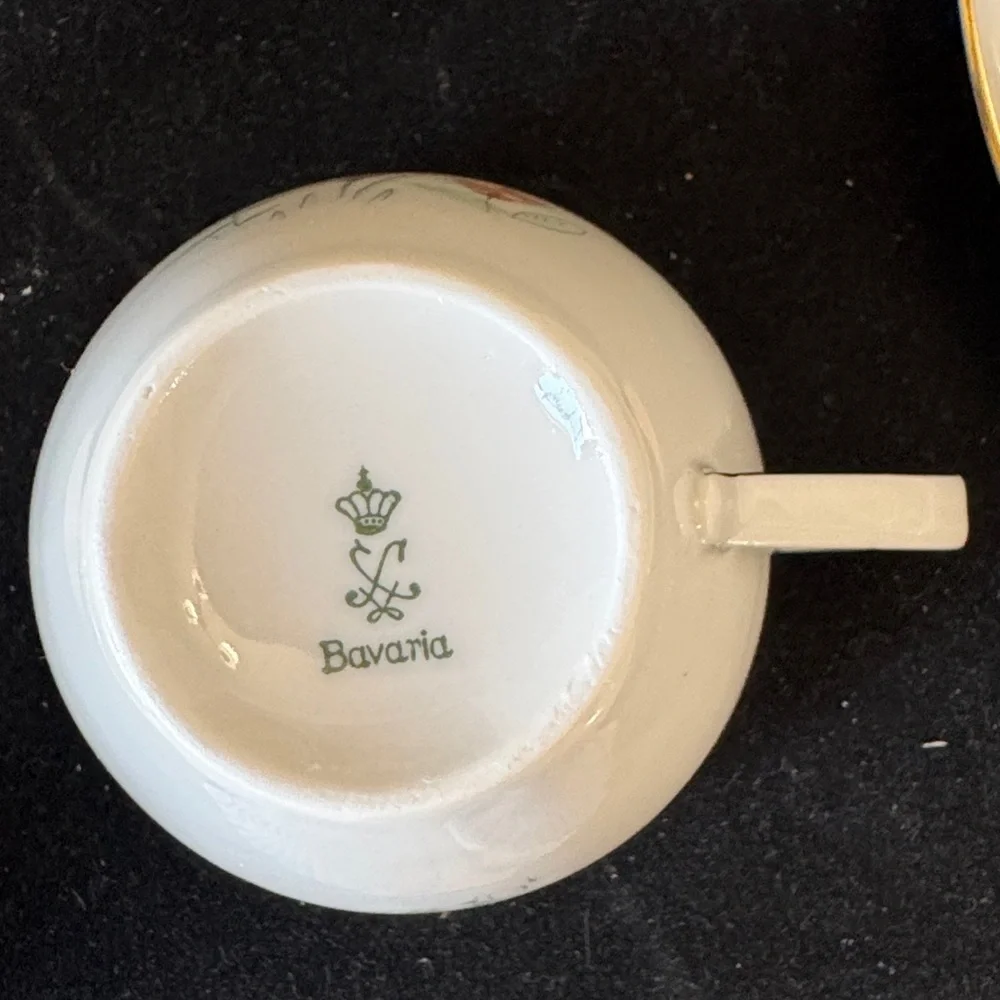 Bavaria Floral Wild Flower Porcelain Tea Cup and saucer Set with desert plate.